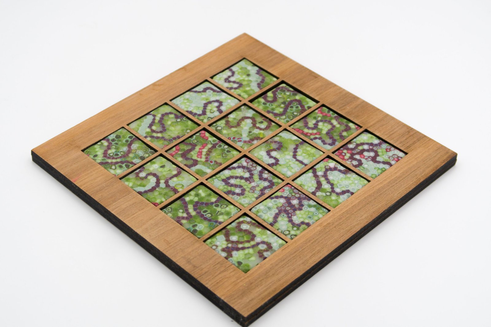 Moving Picture - Sea Lettuce - Image 2