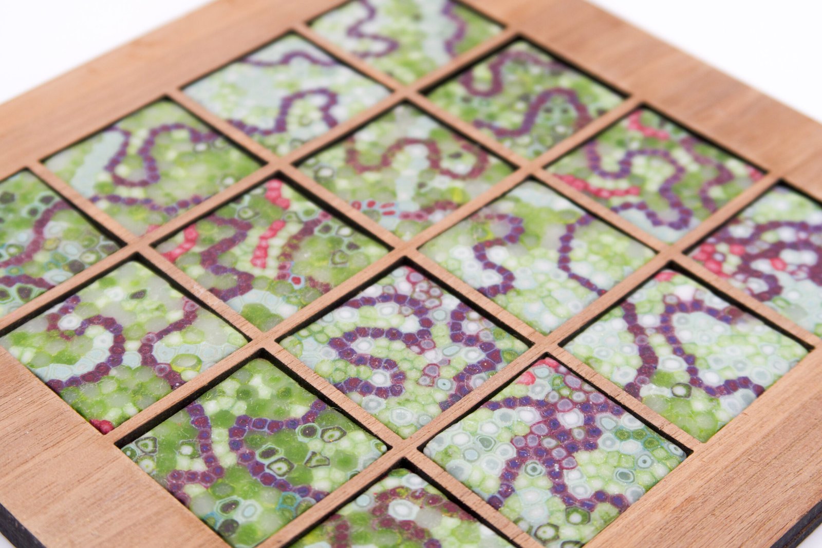 Moving Picture - Sea Lettuce - Image 3