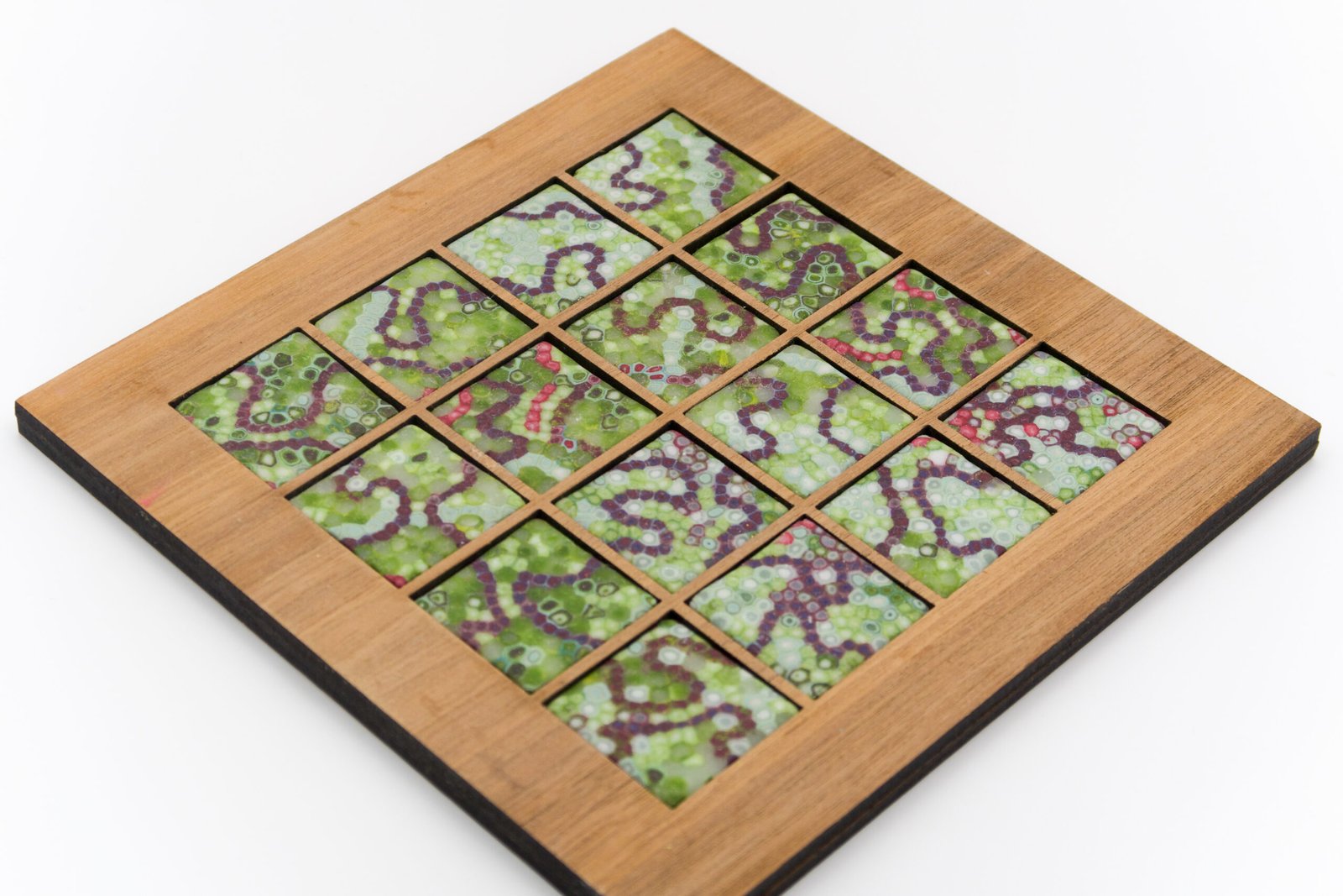 Moving Picture - Sea Lettuce - Image 4