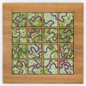 Moving Picture - Sea Lettuce