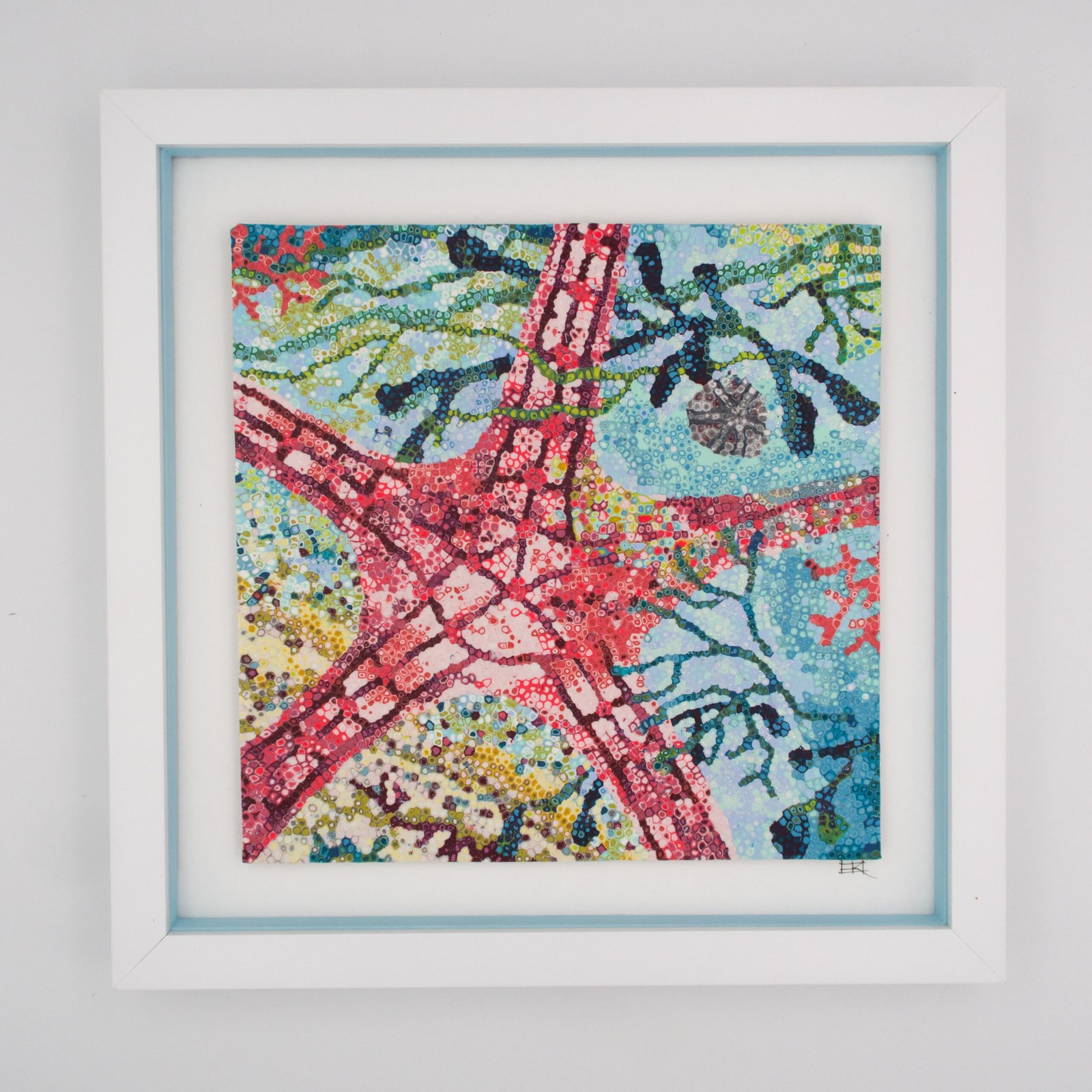 The Starfish - Picture