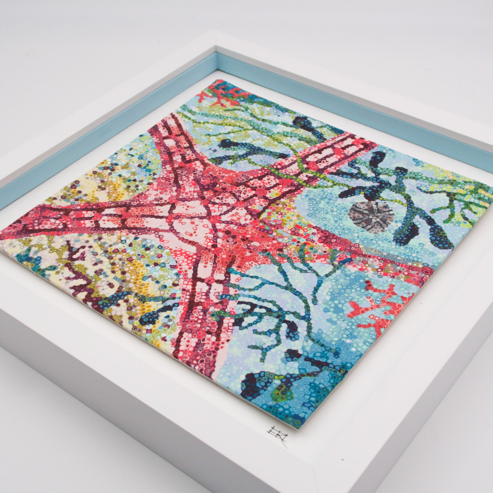 The Starfish - Picture - Image 5
