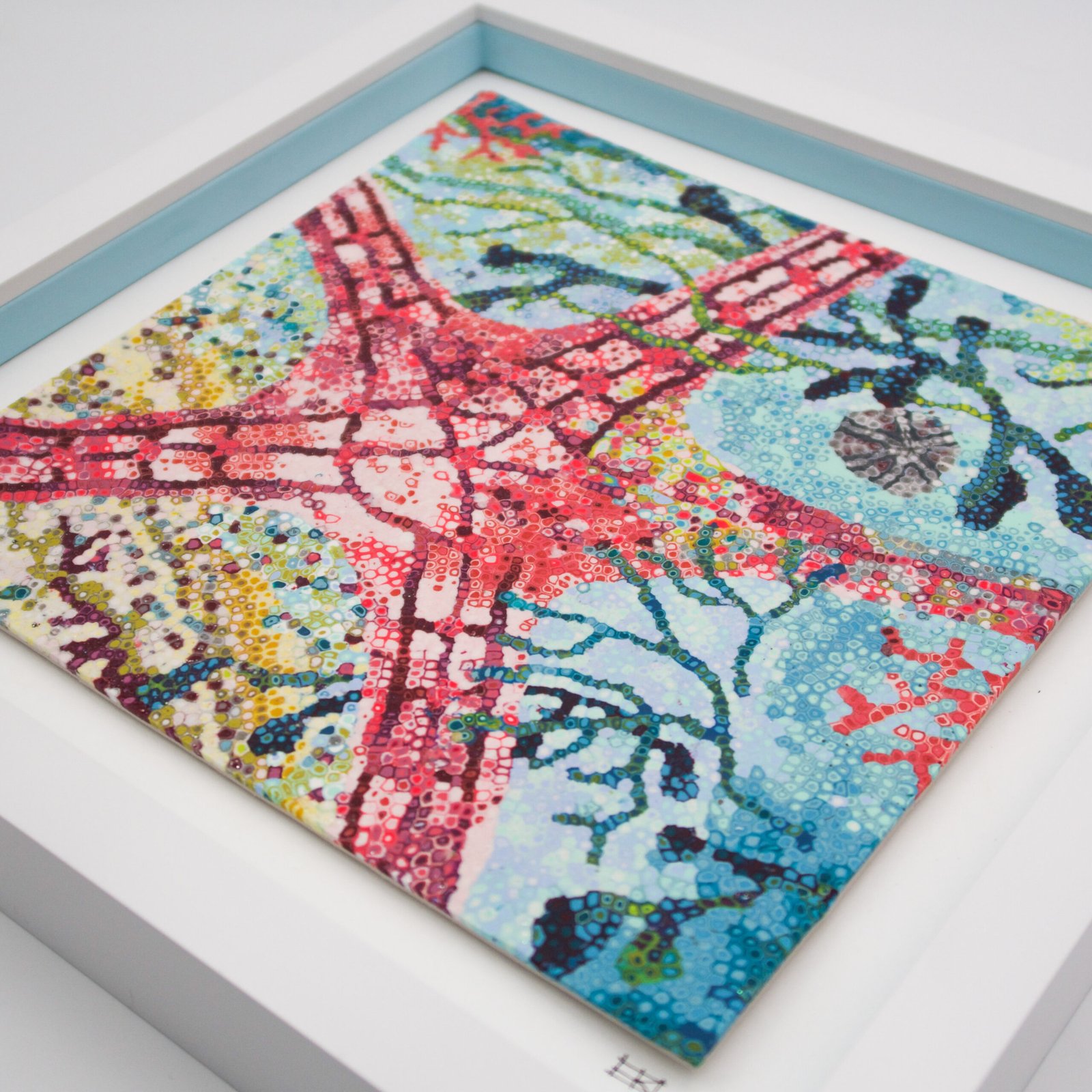 The Starfish - Picture - Image 4